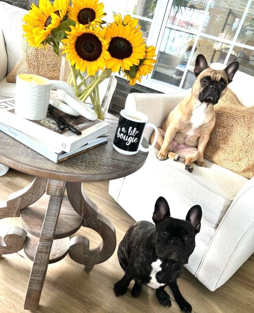 Meet Biggie & Bella!